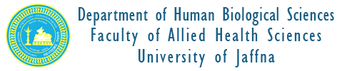 Department of Human Biological Sciences