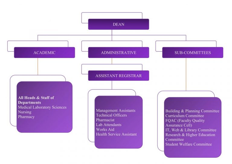 Organization Chart – Allied Health Sciences